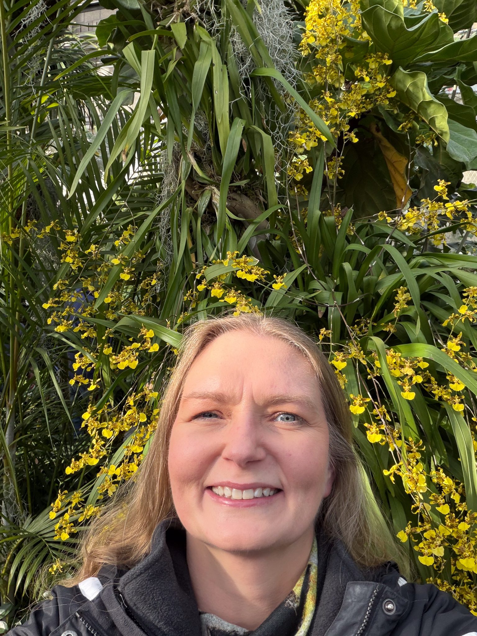 Photo 401 from 2026 Orchid Show