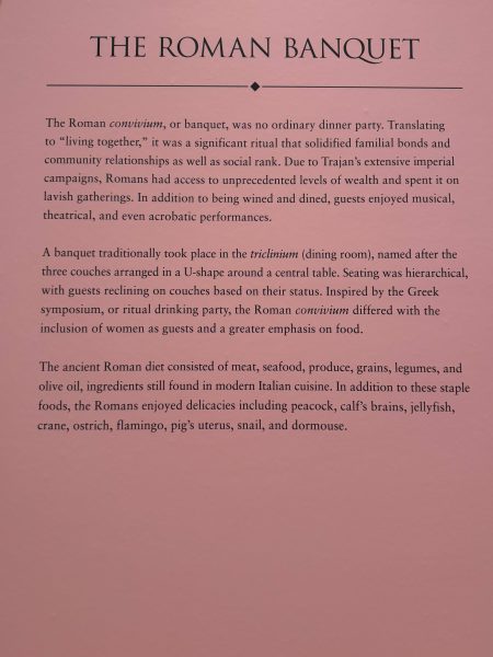 Photo 112 from St Louis Art Museum - April 2026