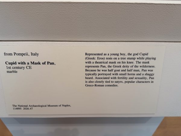 Photo 135 from St Louis Art Museum - April 2026