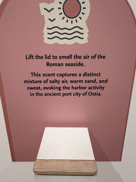 Photo 157 from St Louis Art Museum - April 2026