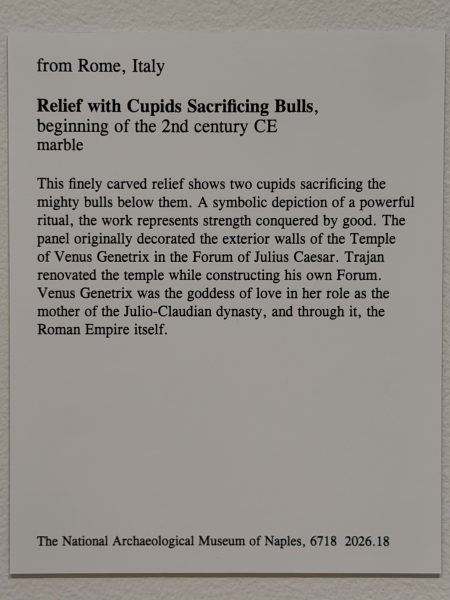 Photo 186 from St Louis Art Museum - April 2026