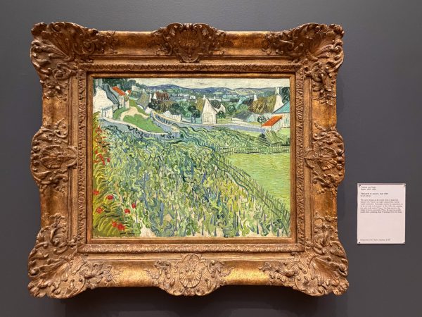 Photo 205 from St Louis Art Museum - April 2026
