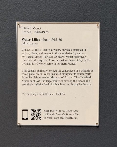 Photo 208 from St Louis Art Museum - April 2026