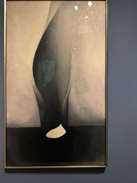 Photo 235 from St Louis Art Museum - April 2026