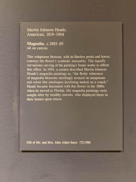 Photo 238 from St Louis Art Museum - April 2026