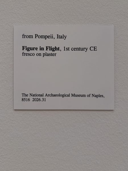 Photo 25 from St Louis Art Museum - April 2026
