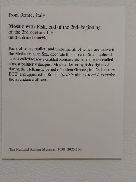 Photo 33 from St Louis Art Museum - April 2026