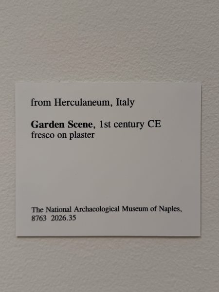 Photo 44 from St Louis Art Museum - April 2026