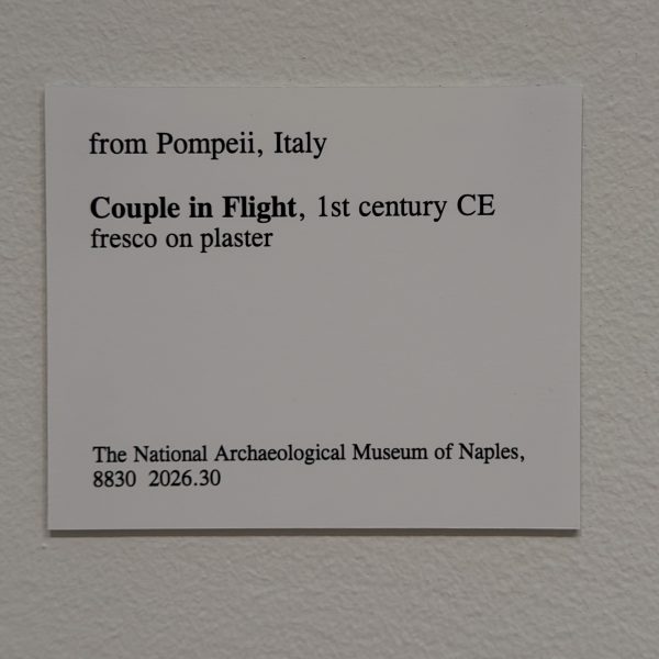 Photo 60 from St Louis Art Museum - April 2026