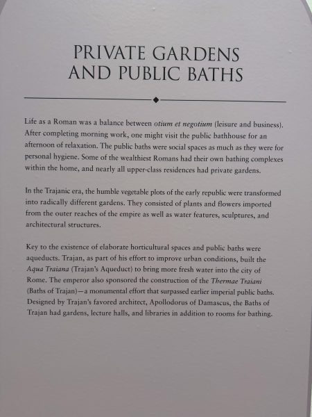 Photo 61 from St Louis Art Museum - April 2026
