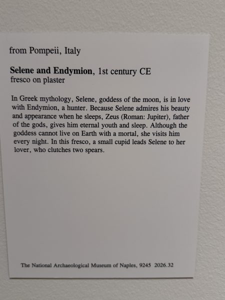 Photo 67 from St Louis Art Museum - April 2026