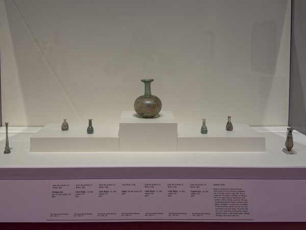 Photo 74 from St Louis Art Museum - April 2026