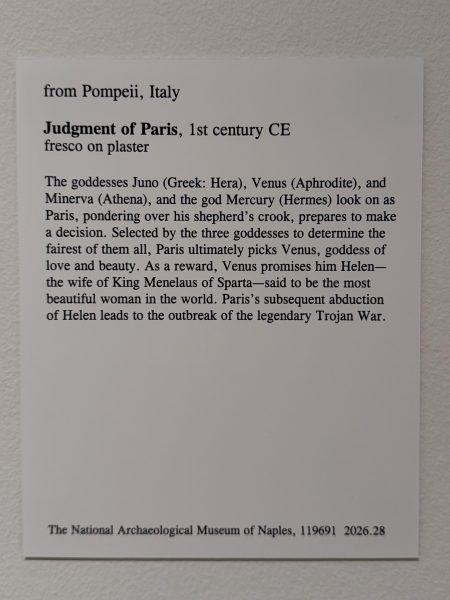 Photo 77 from St Louis Art Museum - April 2026