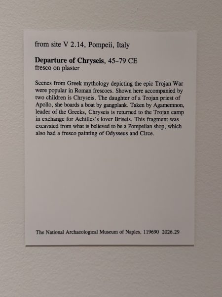 Photo 79 from St Louis Art Museum - April 2026