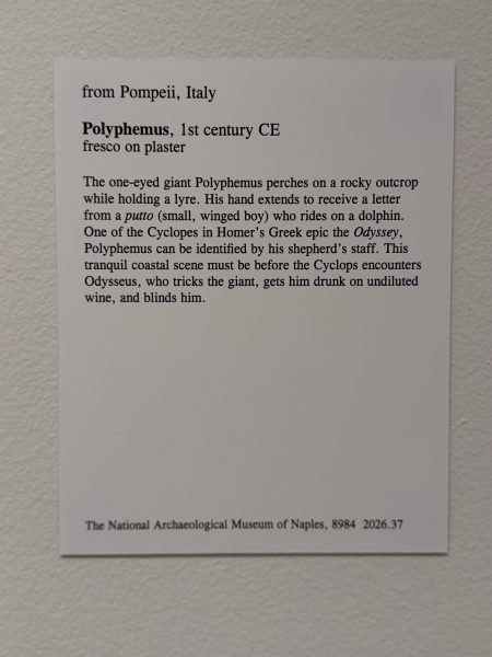 Photo 88 from St Louis Art Museum - April 2026