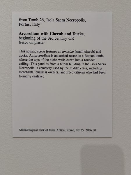 Photo 91 from St Louis Art Museum - April 2026