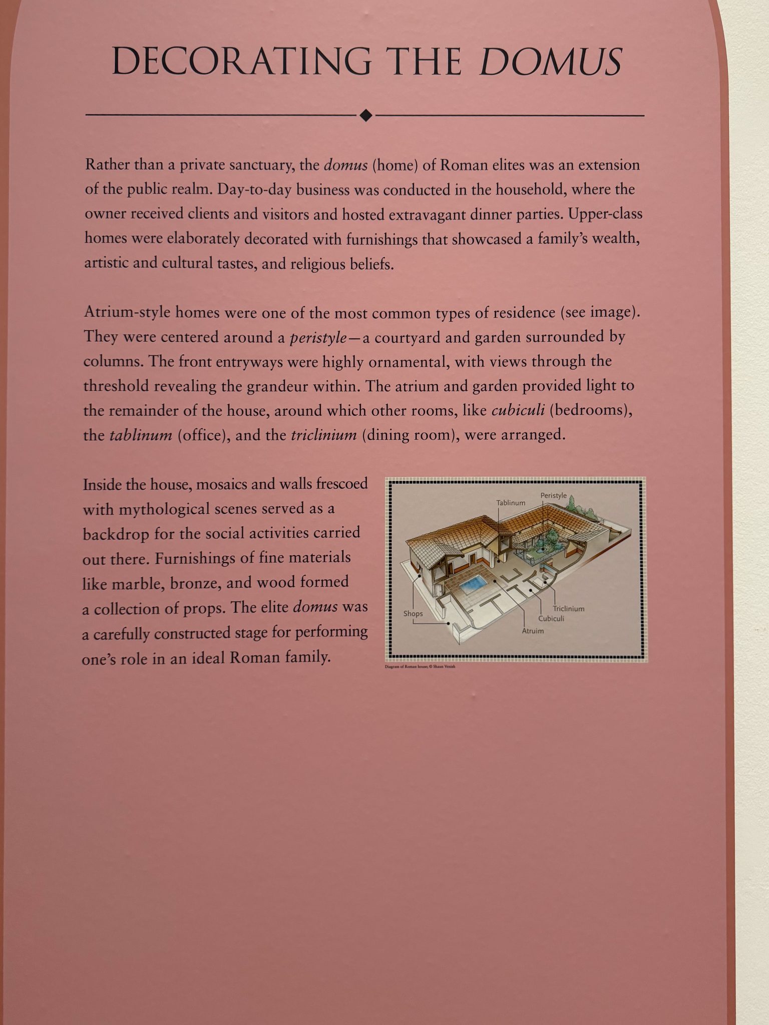 Photo 110 from St Louis Art Museum - April 2026