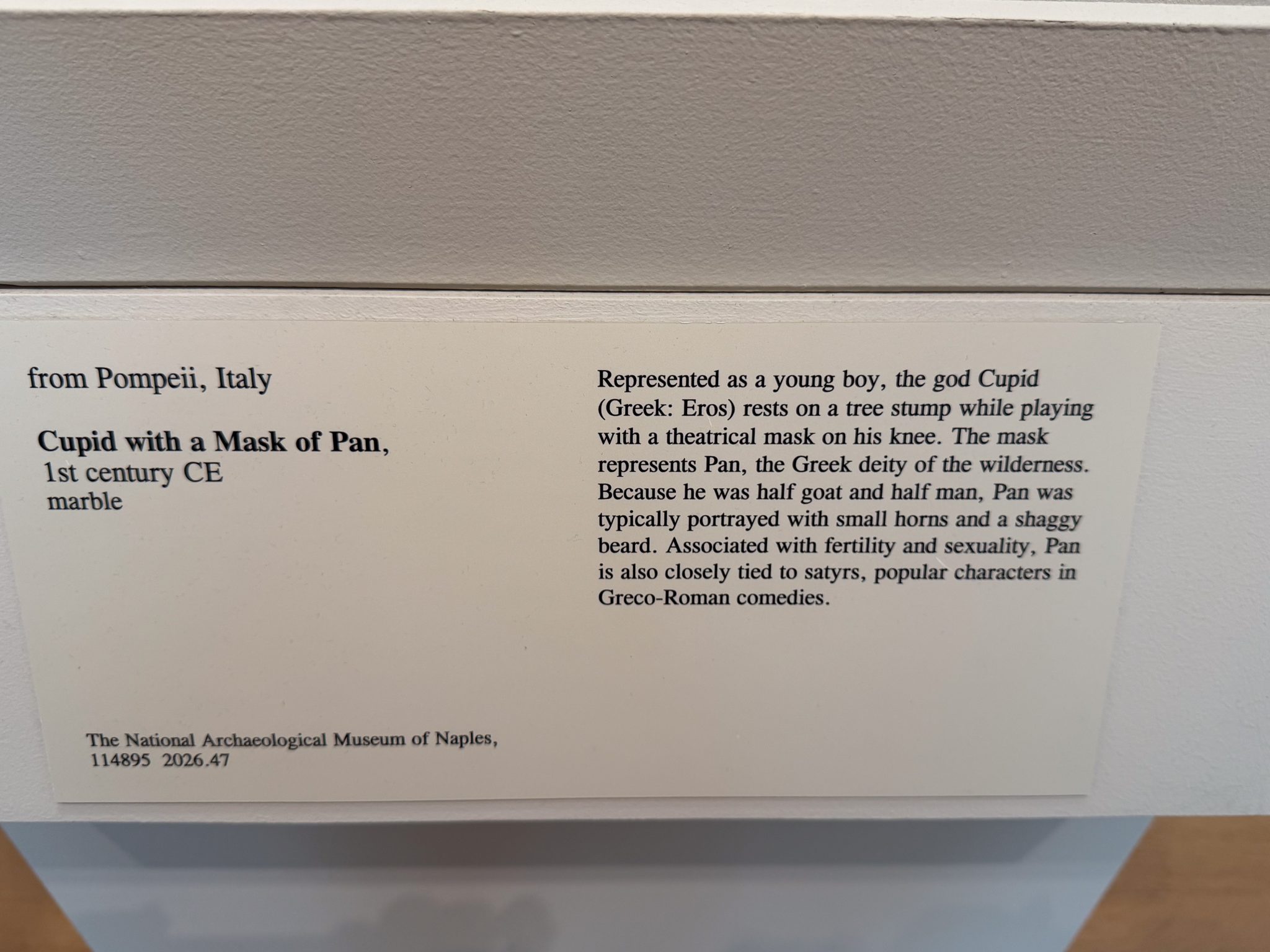 Photo 135 from St Louis Art Museum - April 2026