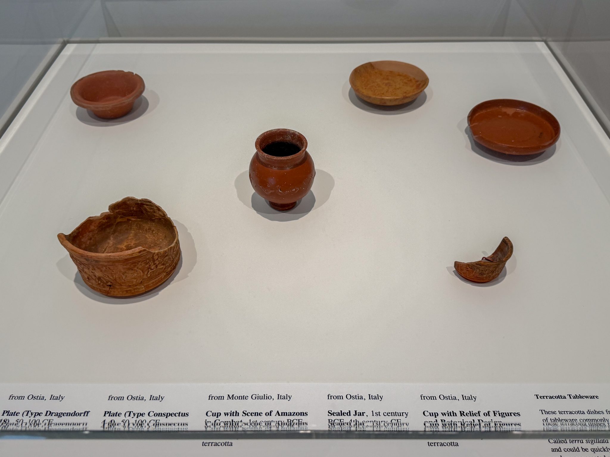 Photo 152 from St Louis Art Museum - April 2026