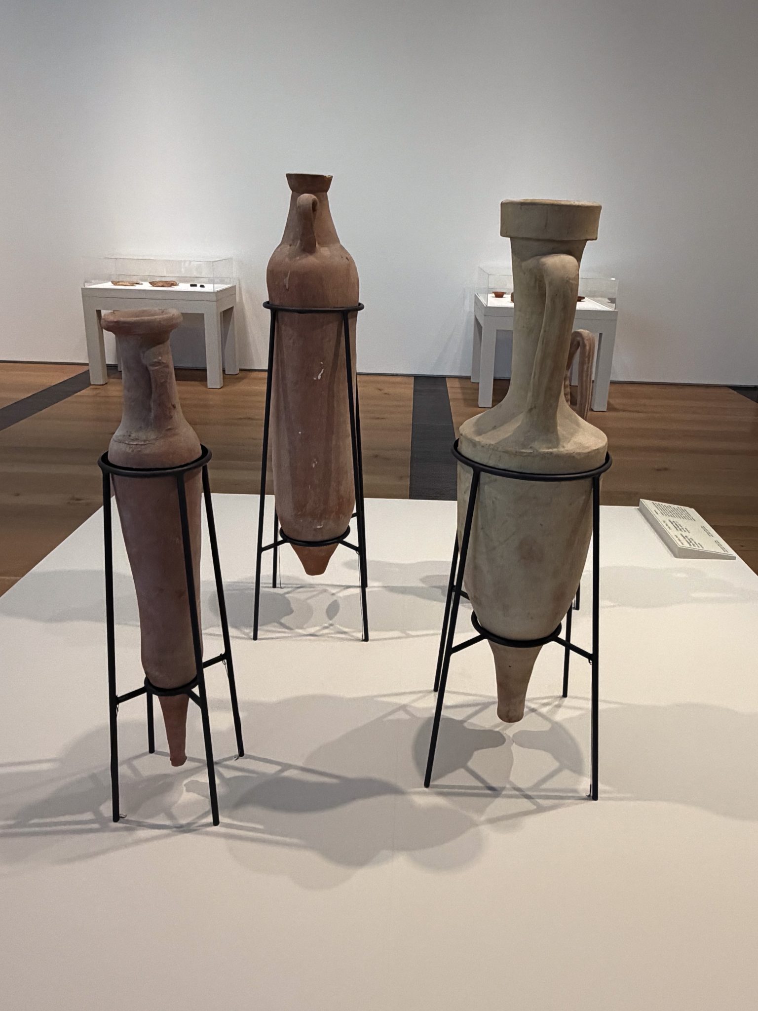 Photo 161 from St Louis Art Museum - April 2026