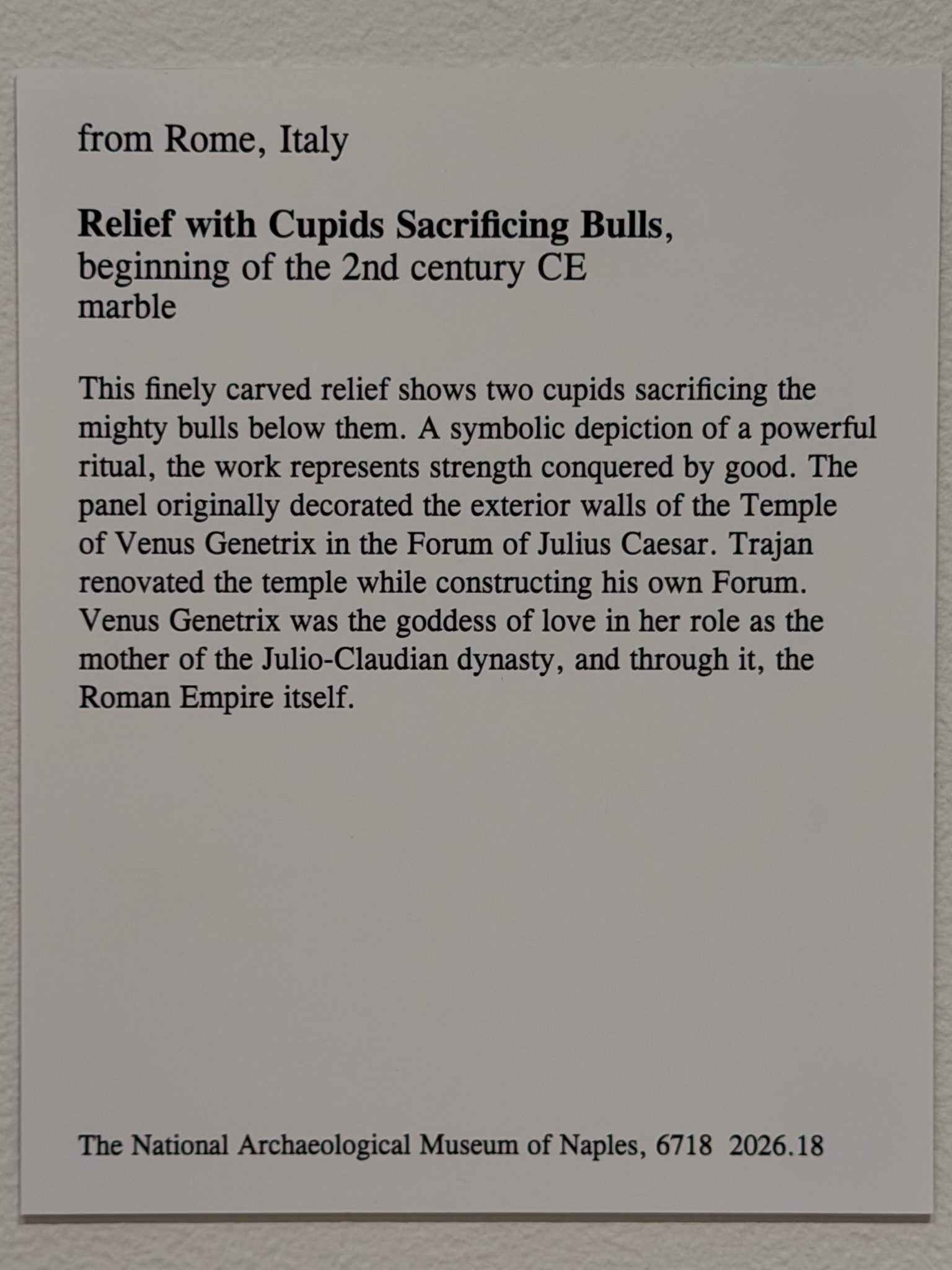Photo 186 from St Louis Art Museum - April 2026
