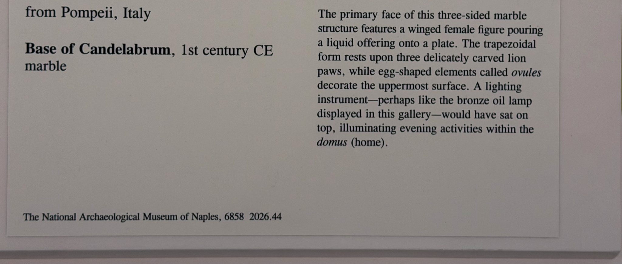 Photo 20 from St Louis Art Museum - April 2026
