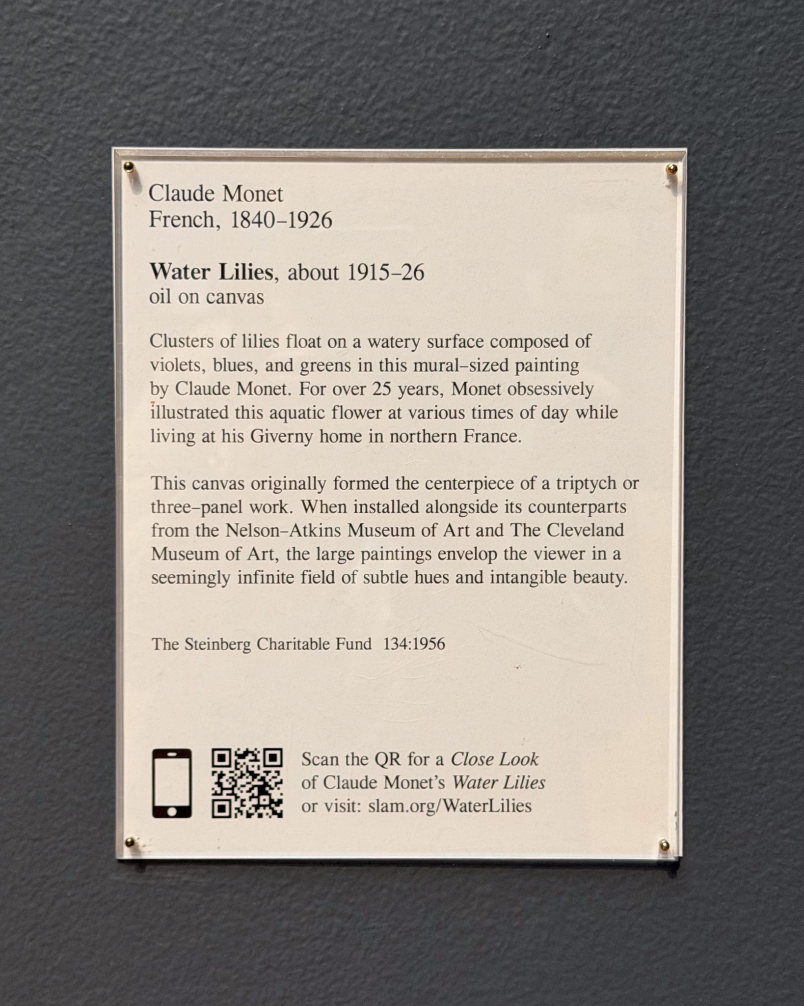 Photo 208 from St Louis Art Museum - April 2026