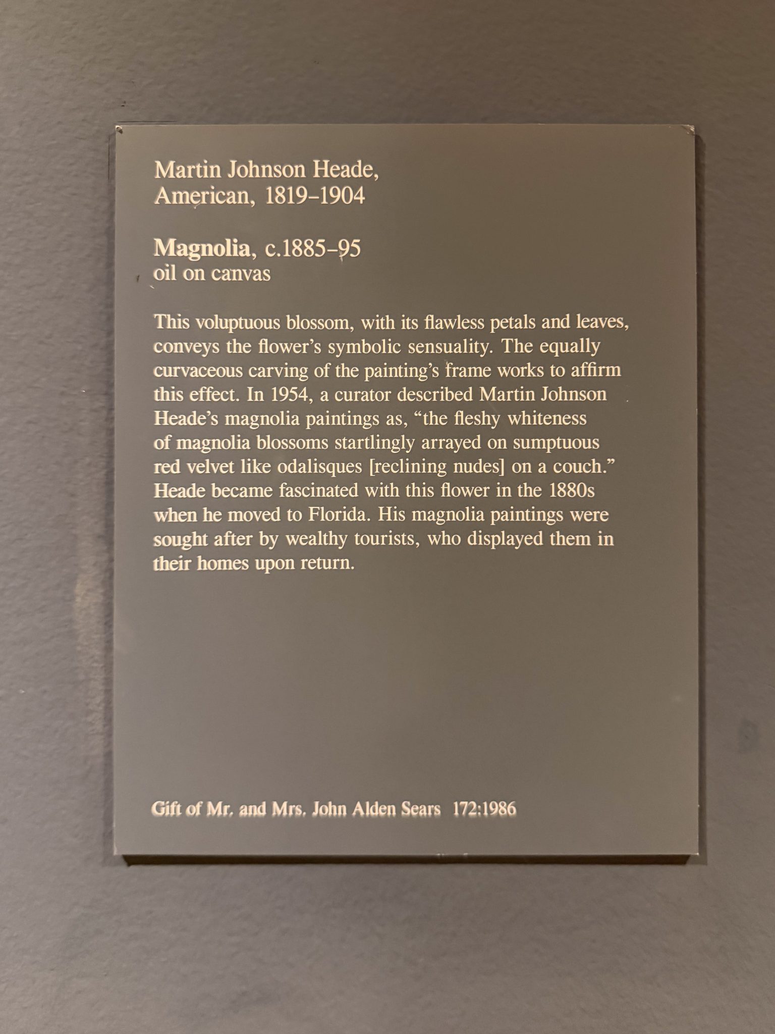 Photo 238 from St Louis Art Museum - April 2026