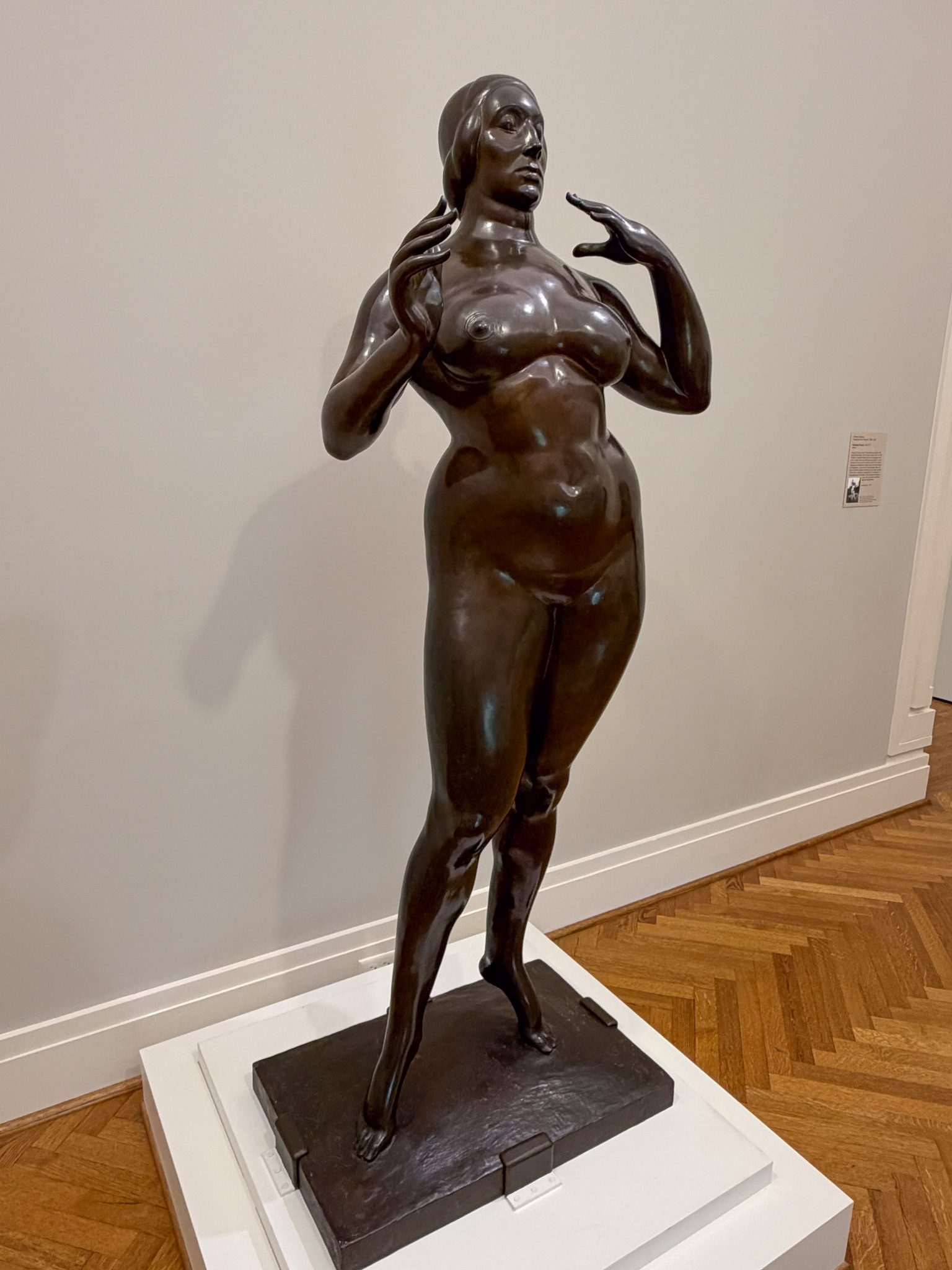 Photo 241 from St Louis Art Museum - April 2026