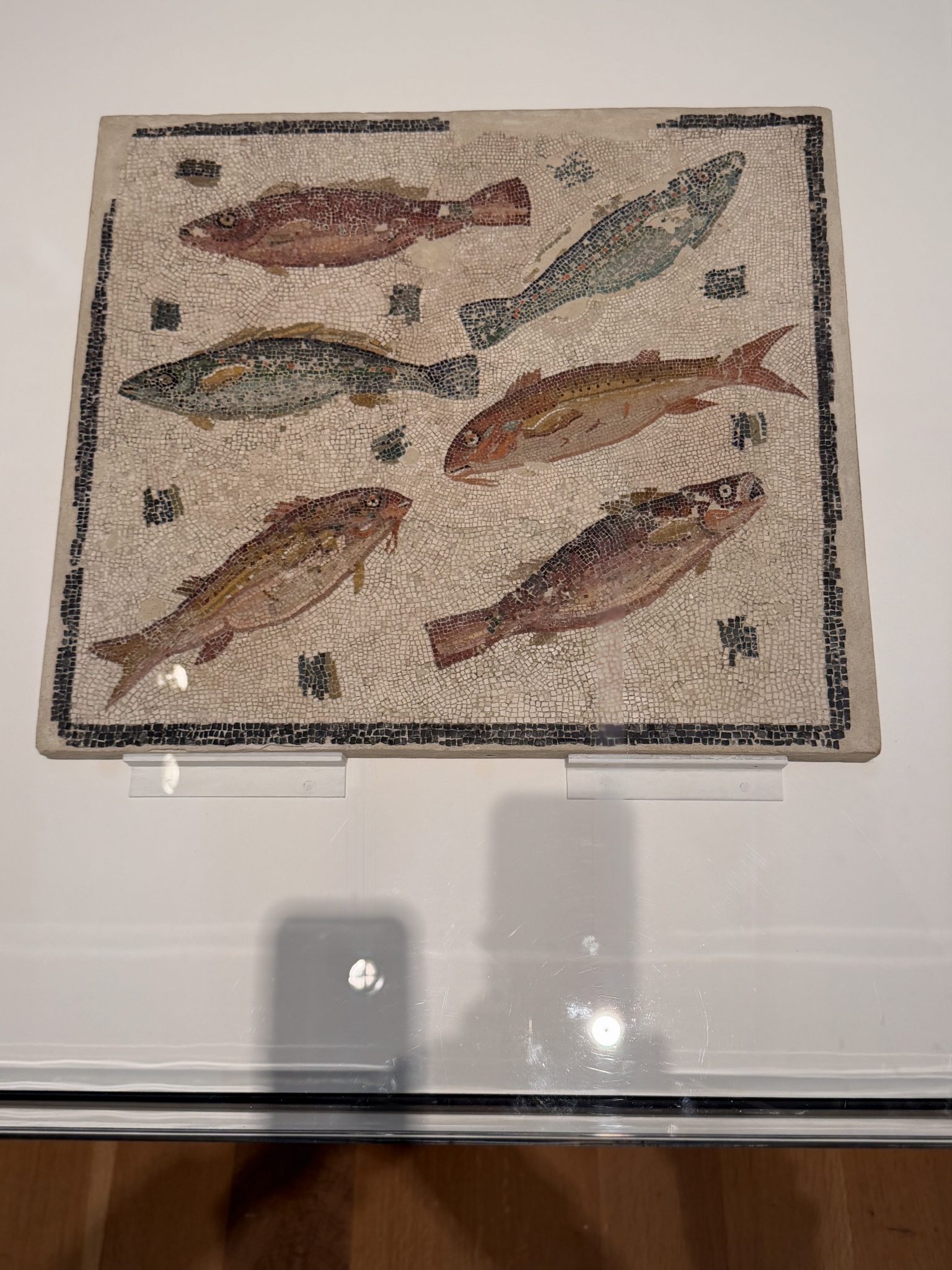 Photo 32 from St Louis Art Museum - April 2026