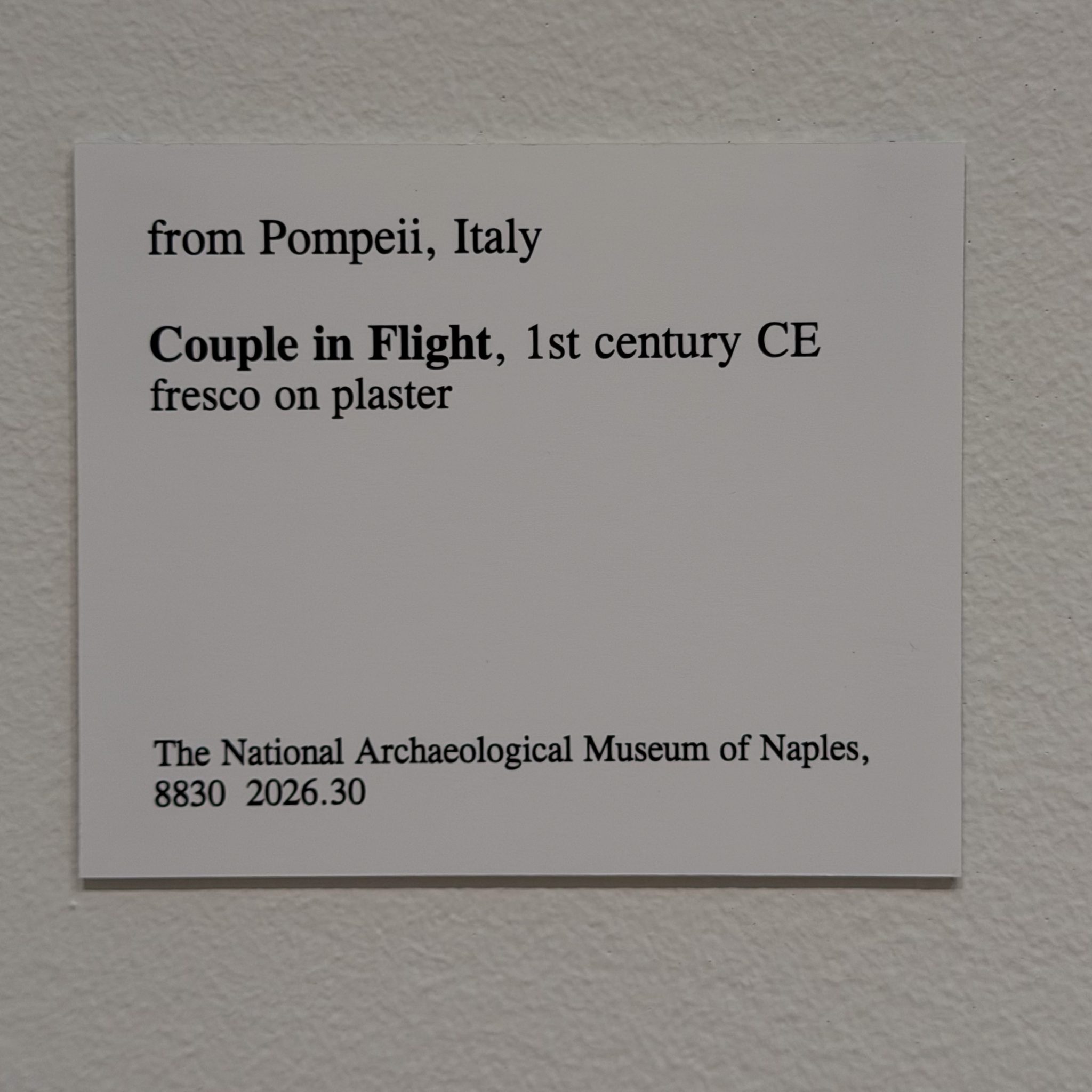Photo 60 from St Louis Art Museum - April 2026