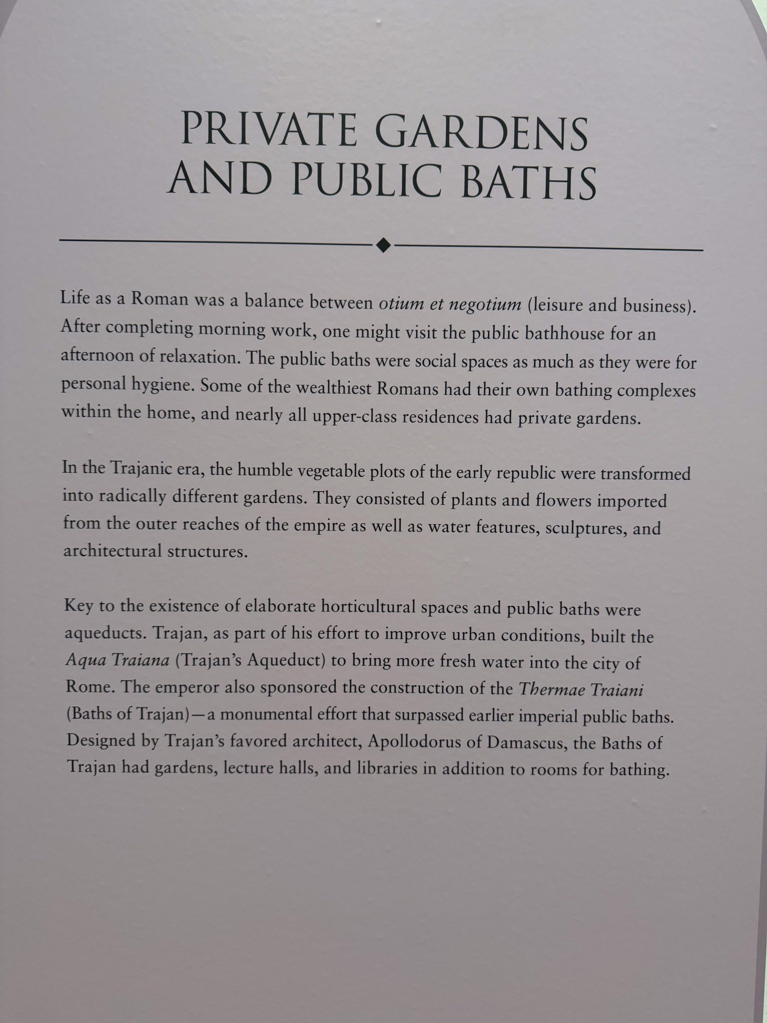 Photo 61 from St Louis Art Museum - April 2026