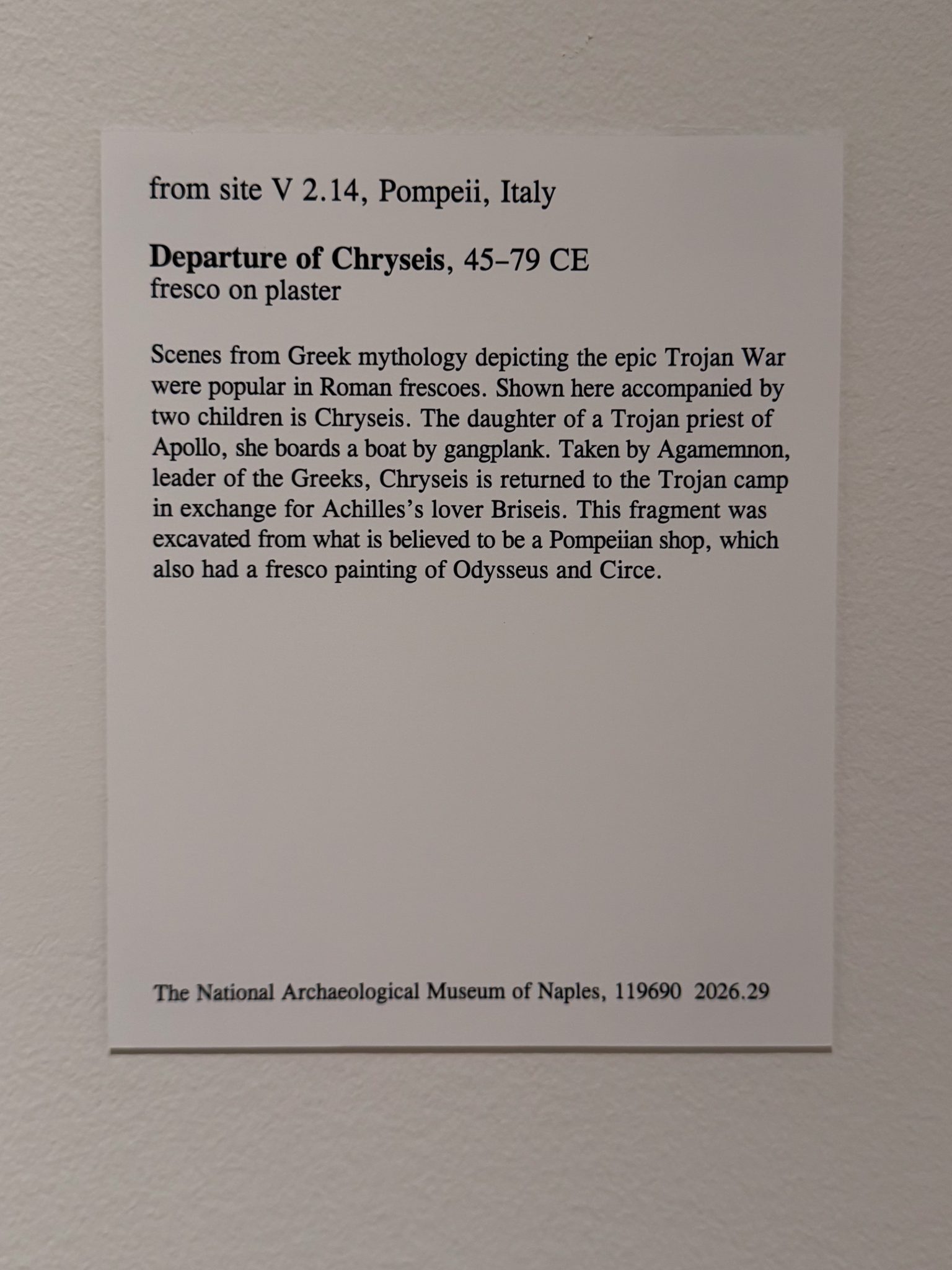 Photo 79 from St Louis Art Museum - April 2026