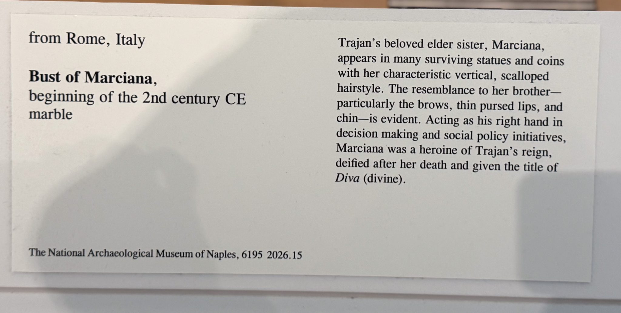 Photo 8 from St Louis Art Museum - April 2026