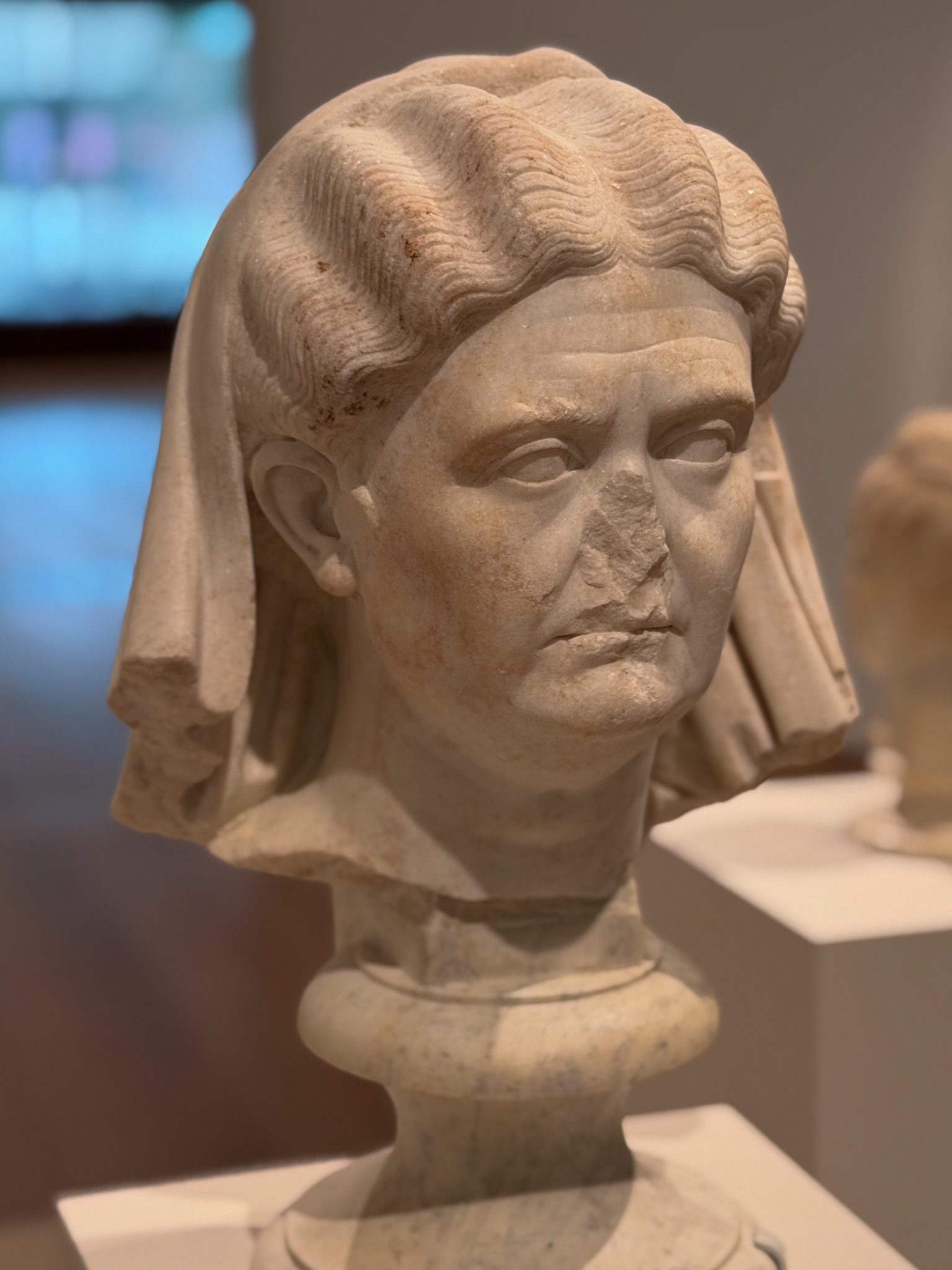 Photo 83 from St Louis Art Museum - April 2026