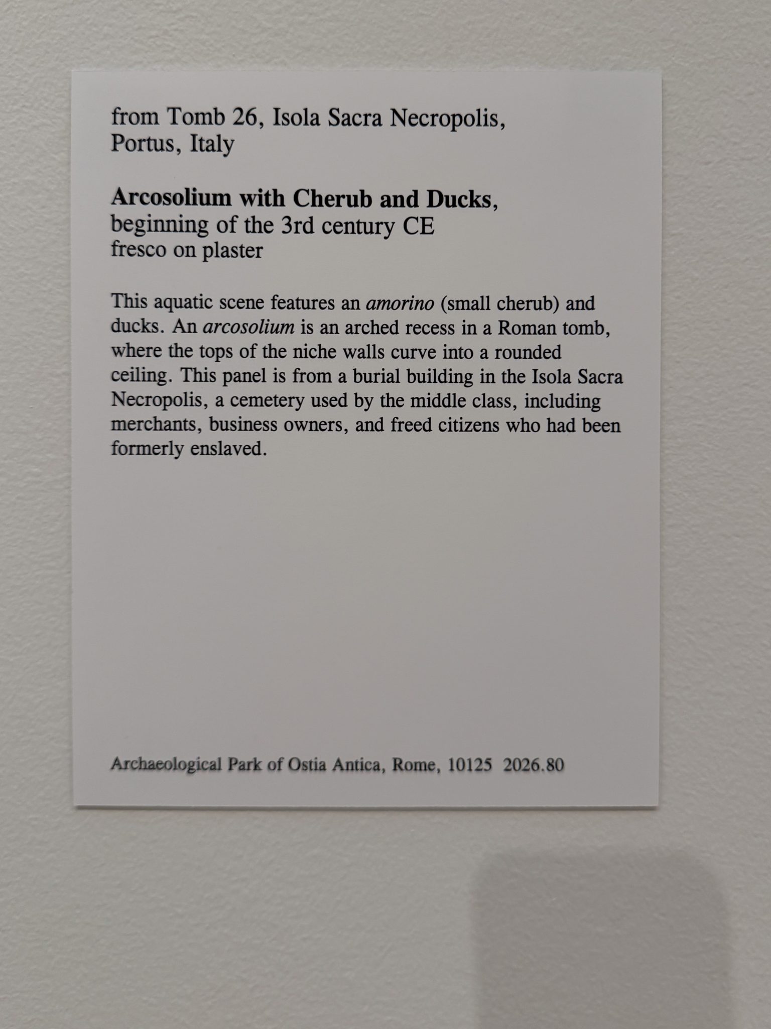 Photo 91 from St Louis Art Museum - April 2026