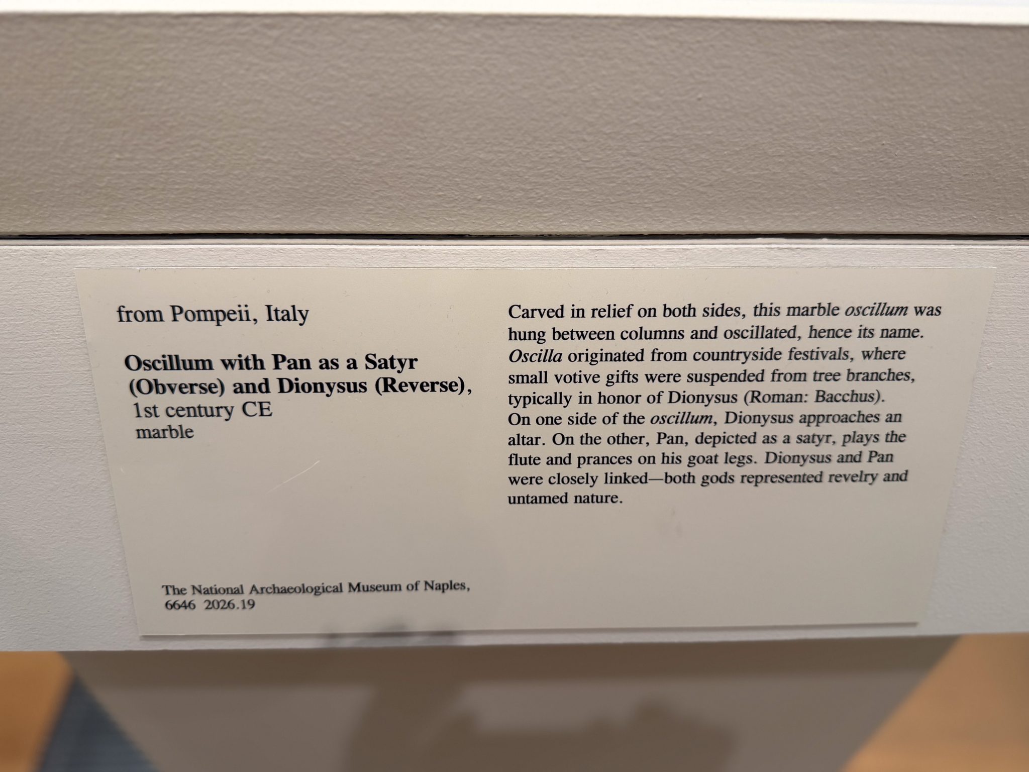 Photo 96 from St Louis Art Museum - April 2026